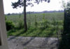 DIGITAL CAMERA